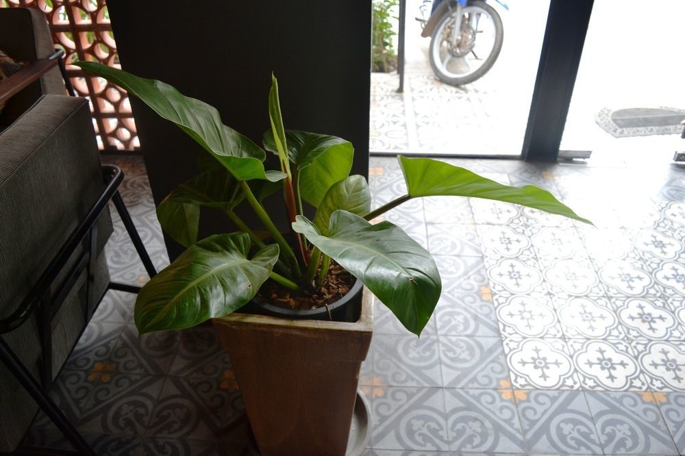 Monsoon Bassac Hotel Phnom Penh Exterior foto